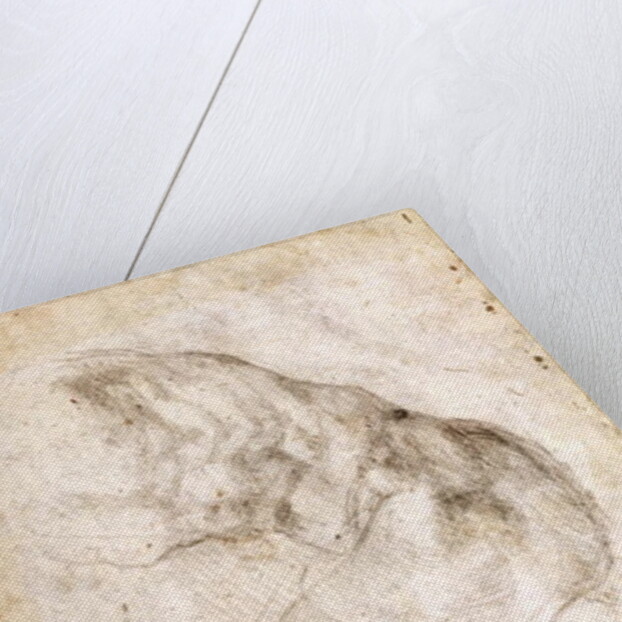 Study for The Creation of Adam by Michelangelo Buonarroti