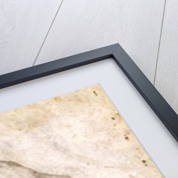 Study for The Creation of Adam by Michelangelo Buonarroti