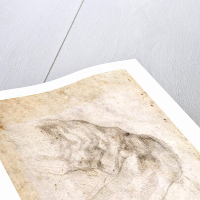 Study for The Creation of Adam by Michelangelo Buonarroti