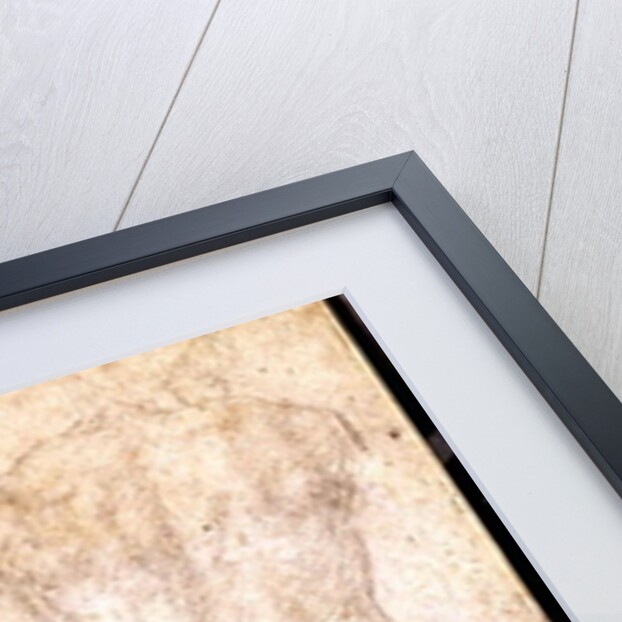 Study of a Male Nude by Michelangelo Buonarroti