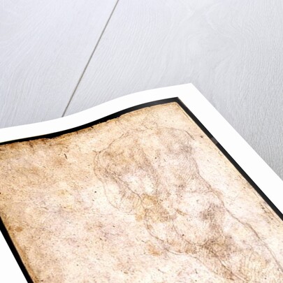 Study of a Male Nude by Michelangelo Buonarroti