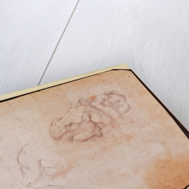 Study of Muscles by Michelangelo Buonarroti