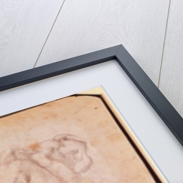 Study of Muscles by Michelangelo Buonarroti