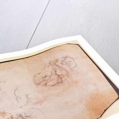 Study of Muscles by Michelangelo Buonarroti