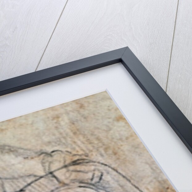 Study for the Last Judgement by Michelangelo Buonarroti