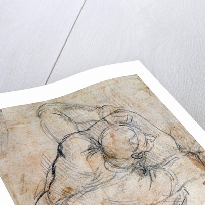 Study for the Last Judgement by Michelangelo Buonarroti