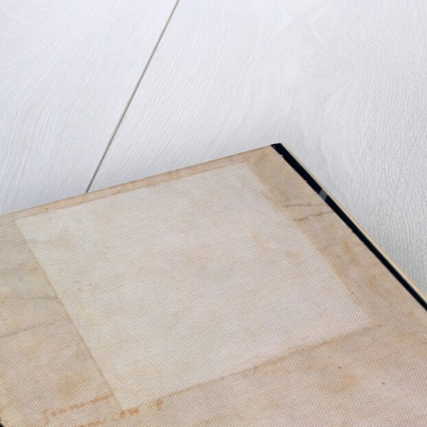 Architectural Study with Notes by Michelangelo Buonarroti