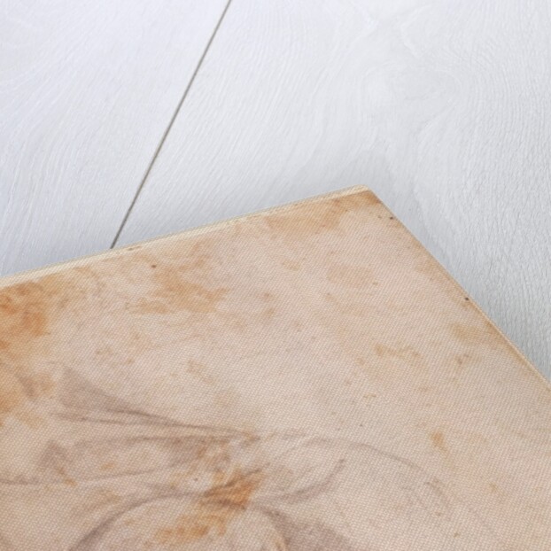 Study of Drapery c.1516 by Michelangelo Buonarroti