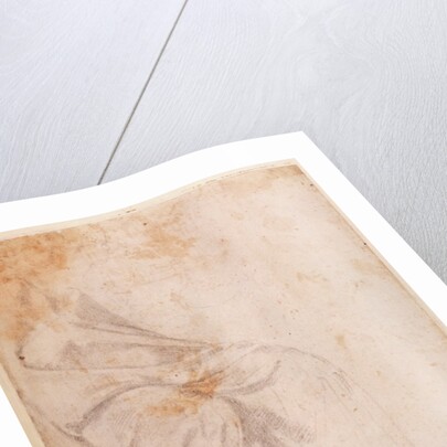 Study of Drapery c.1516 by Michelangelo Buonarroti