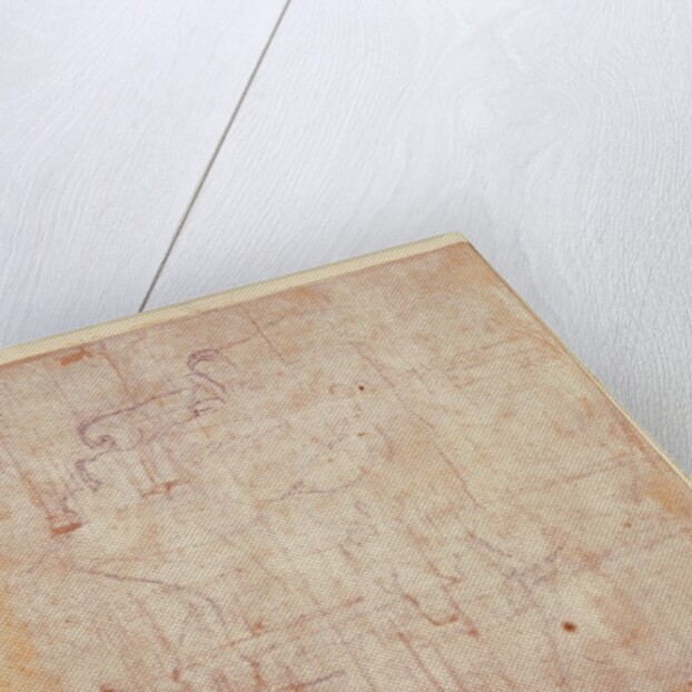 Study of a Head, 1525-26 by Michelangelo Buonarroti