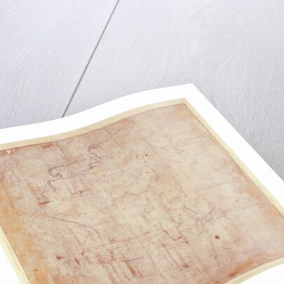 Study of a Head, 1525-26 by Michelangelo Buonarroti