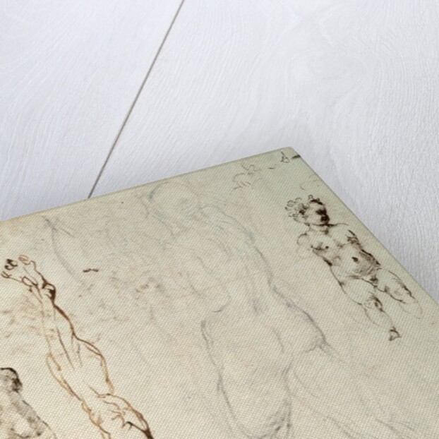 Study of the Christ Child and an Anatomical Drawing with Notes by Michelangelo Buonarroti