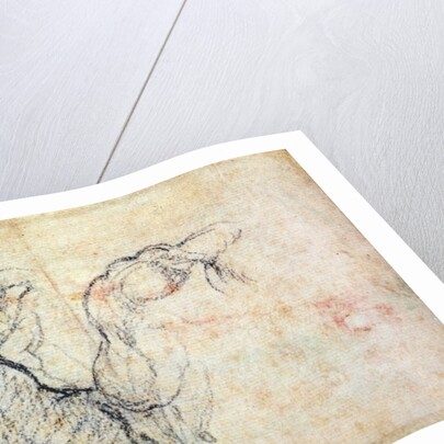 Preparatory Study for the Arm of Christ in the Last Judgement, 1535-41 by Michelangelo Buonarroti