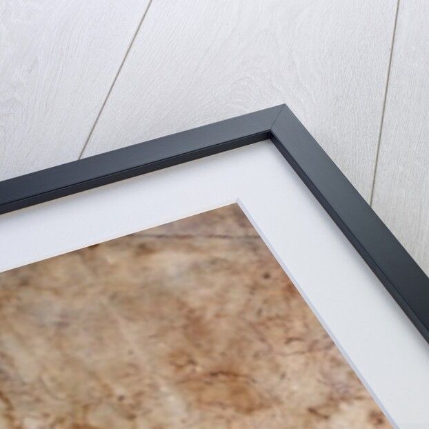 Study for the 'Battle of Cascina' 1504 by Michelangelo Buonarroti