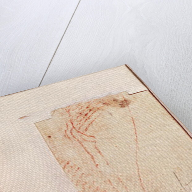 Study of Christ's feet nailed to the Cross by Michelangelo Buonarroti