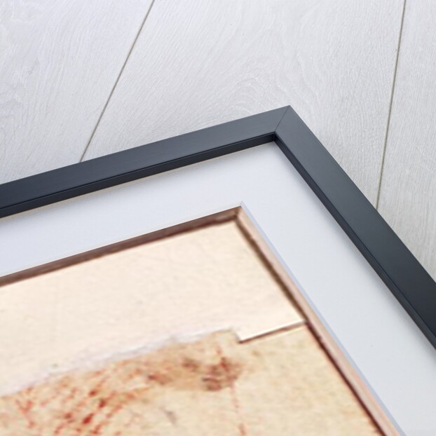 Study of Christ's feet nailed to the Cross by Michelangelo Buonarroti