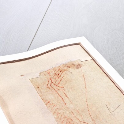 Study of Christ's feet nailed to the Cross by Michelangelo Buonarroti