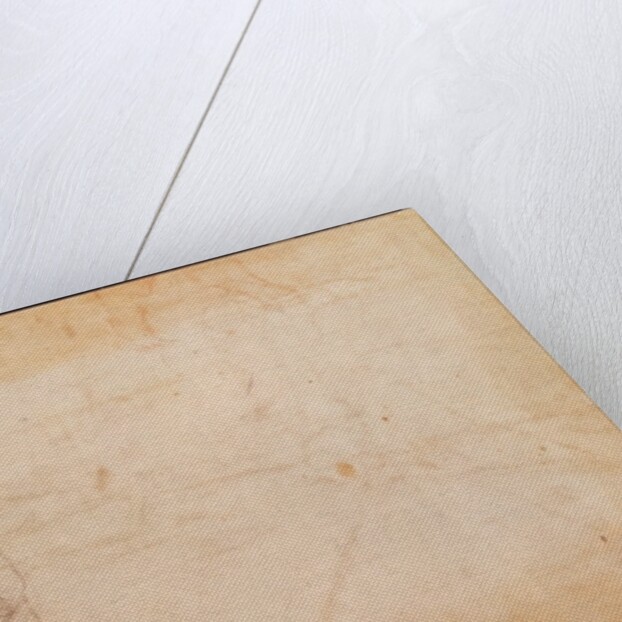 Study of a male head by Michelangelo Buonarroti