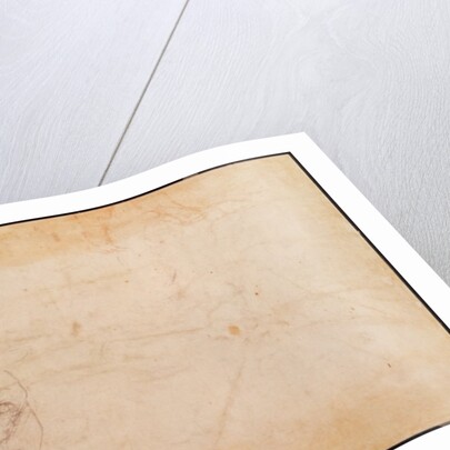 Study of a male head by Michelangelo Buonarroti