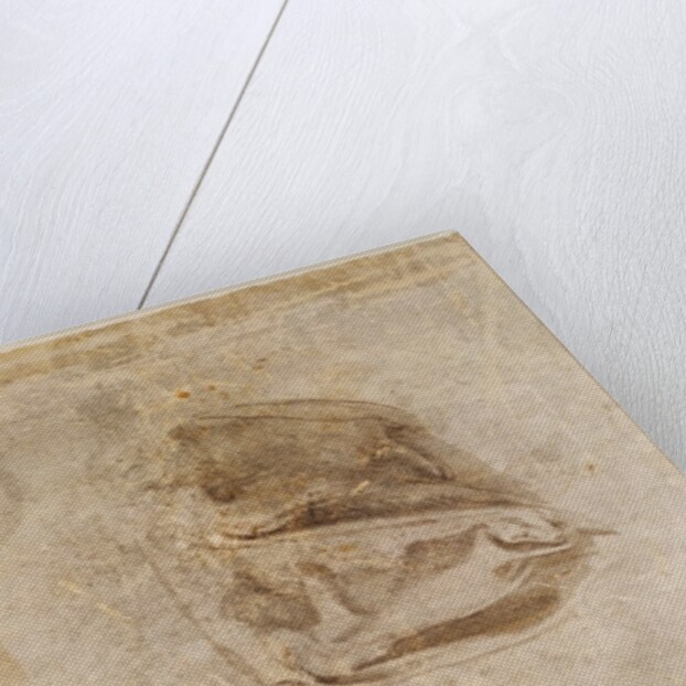 Study for the robes of the Erythraean Sibyl by Michelangelo Buonarroti