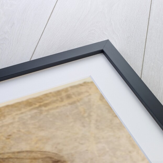 Study for the robes of the Erythraean Sibyl by Michelangelo Buonarroti