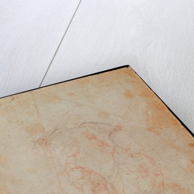 Study of two male figures by Michelangelo Buonarroti