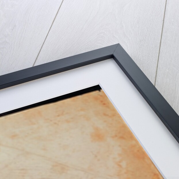 Study of two male figures by Michelangelo Buonarroti