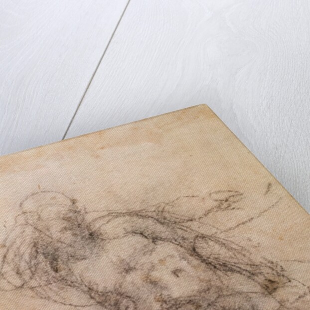 Study for Noah in 'The Drunkenness of Noah', 1508-12 by Michelangelo Buonarroti