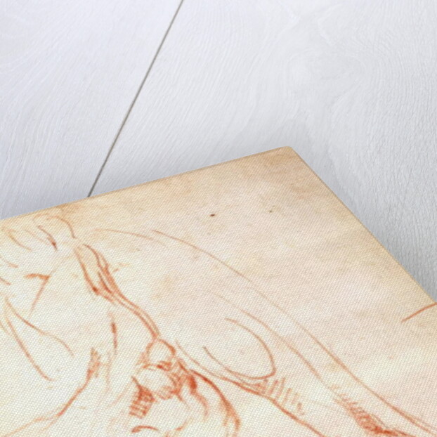 Study of a lower leg and foot by Michelangelo Buonarroti