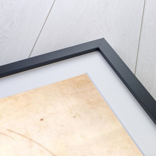 Study of a lower leg and foot by Michelangelo Buonarroti