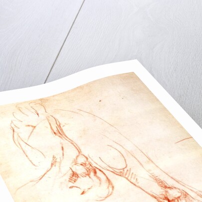 Study of a lower leg and foot by Michelangelo Buonarroti