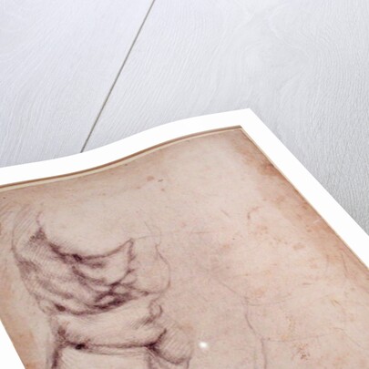 Study of torso and buttock by Michelangelo Buonarroti