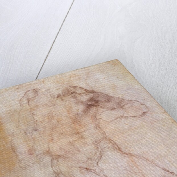 Study of a male nude by Michelangelo Buonarroti