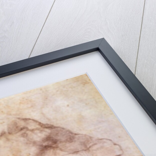 Study of a male nude by Michelangelo Buonarroti