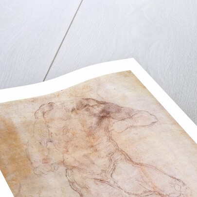 Study of a male nude by Michelangelo Buonarroti