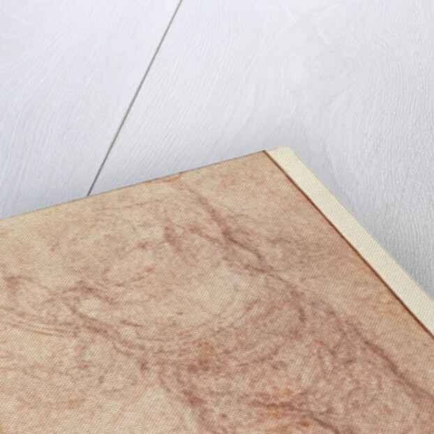 Study for 'The Resurrection', c.1532-34 by Michelangelo Buonarroti