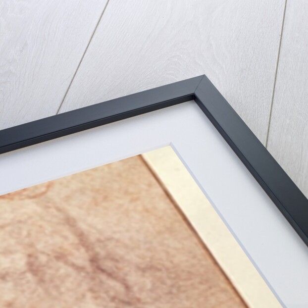 Study for 'The Resurrection', c.1532-34 by Michelangelo Buonarroti