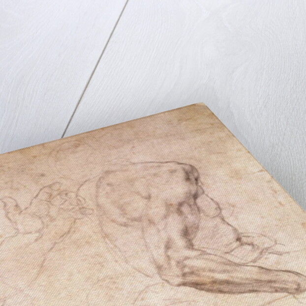 Studies of hands and an arm by Michelangelo Buonarroti