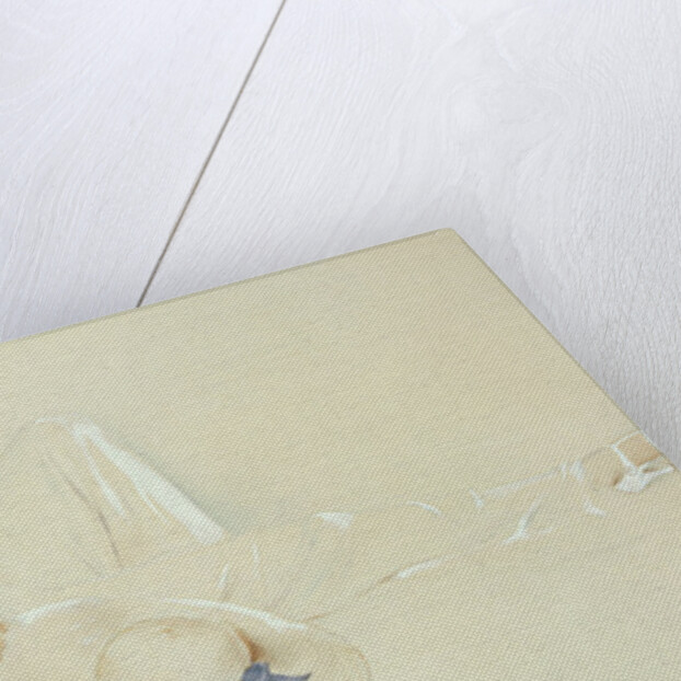 Girl with Hat by S.M. Gerard