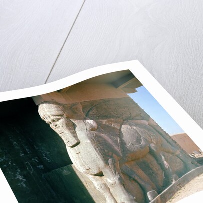 Winged human-headed bull, Neo-Assyrian Period, reign of Ashurnasirpal II by Assyrian