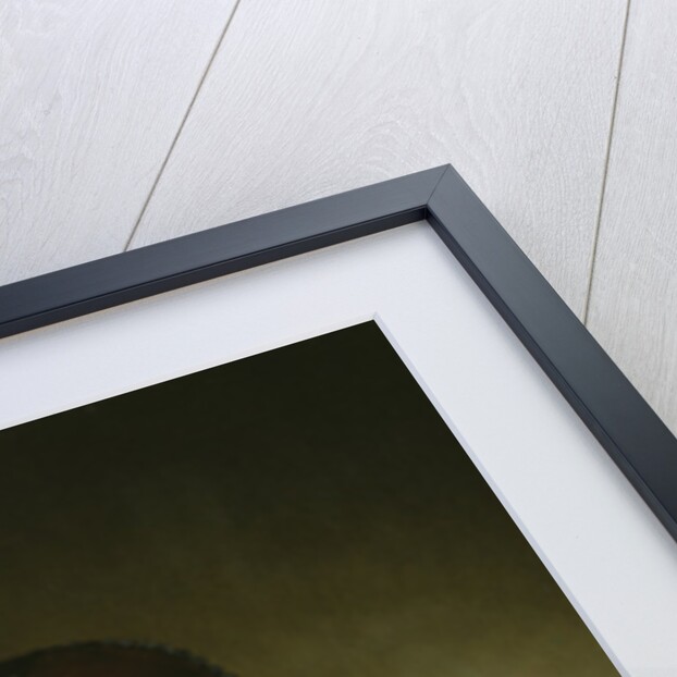 Portrait of Johanna van Diemen, aged 61, 1647 by Jacob Gerritsz Cuyp