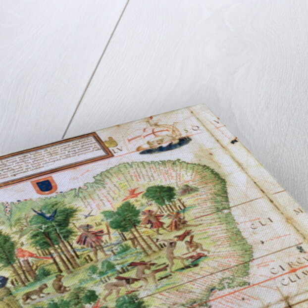 Brazil from the 'Miller Atlas' by Pedro Reinel, c.1519 by Portuguese School