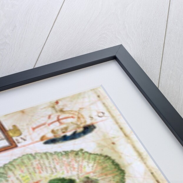 Brazil from the 'Miller Atlas' by Pedro Reinel, c.1519 by Portuguese School