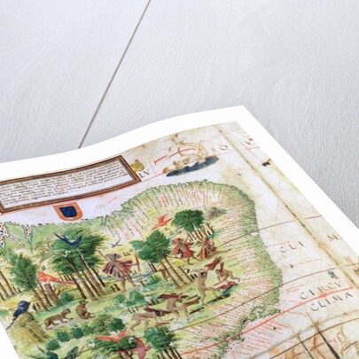 Brazil from the 'Miller Atlas' by Pedro Reinel, c.1519 by Portuguese School