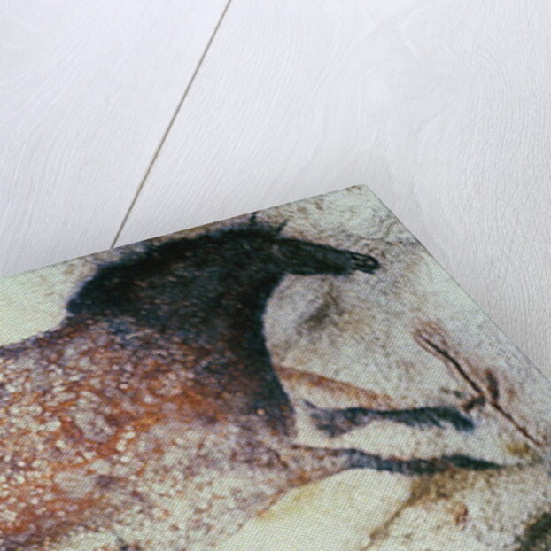 Rock painting of a galloping horse, c.17000 BC by Anonymous