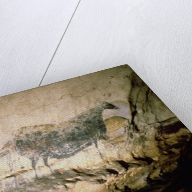 Rock painting of a black cow, c.17000 BC by Anonymous