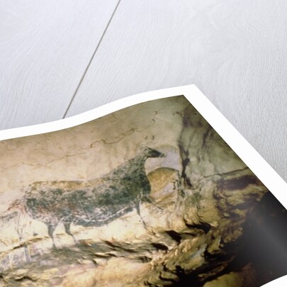 Rock painting of a black cow, c.17000 BC by Anonymous