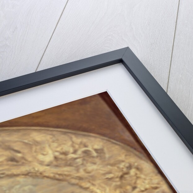 The Birth of Venus, c.1632-33 by Peter Paul Rubens