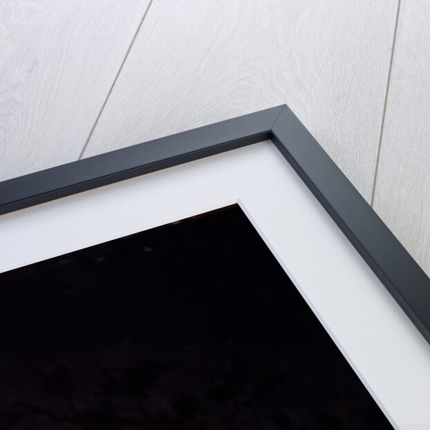 Teignmouth by moonlight by Thomas Luny