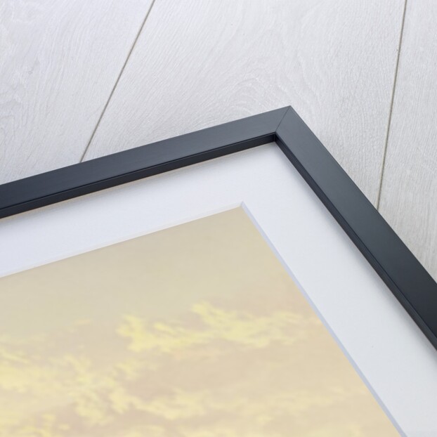 Namur, Belgium, 19th centruy by James Webb